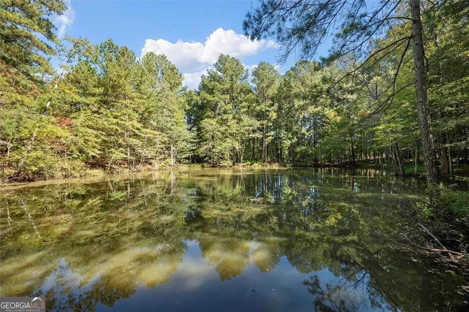1042 Auburn Road Dacula - 2