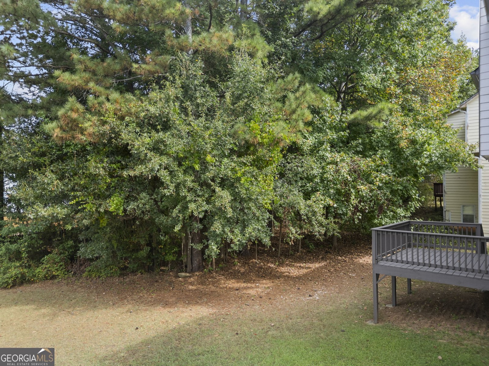 955 Loch Forest Way Riverdale - 41