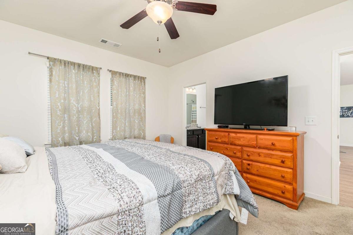12 Whiskery Way Cartersville - 18