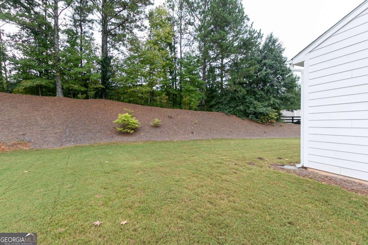12 Whiskery Way Cartersville - 23