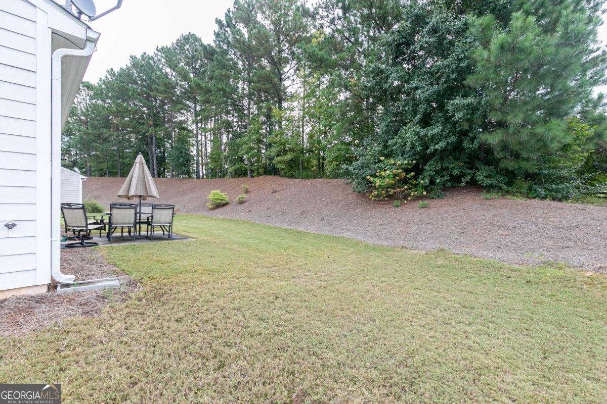 12 Whiskery Way Cartersville - 27