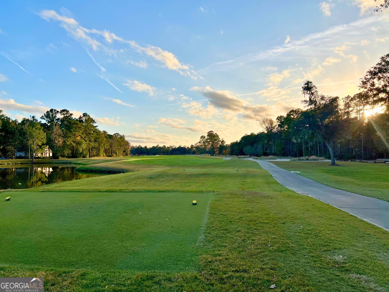 321 Harbour Island Circle Waverly - 44