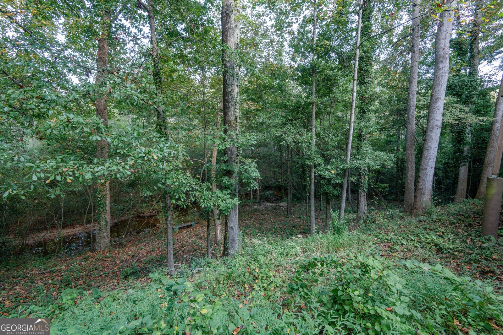 4368 Laurel Circle Smyrna - 27