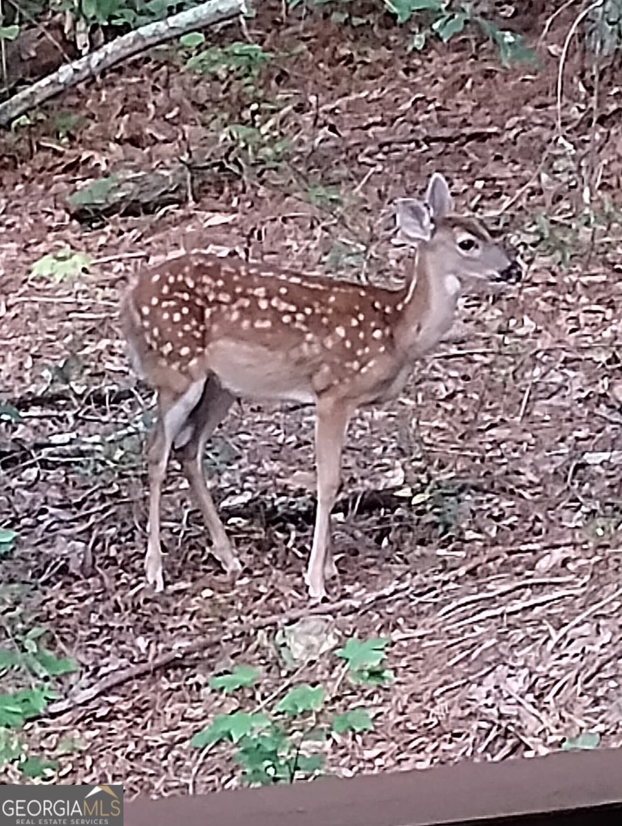 637 Wayside Road Rome - 40