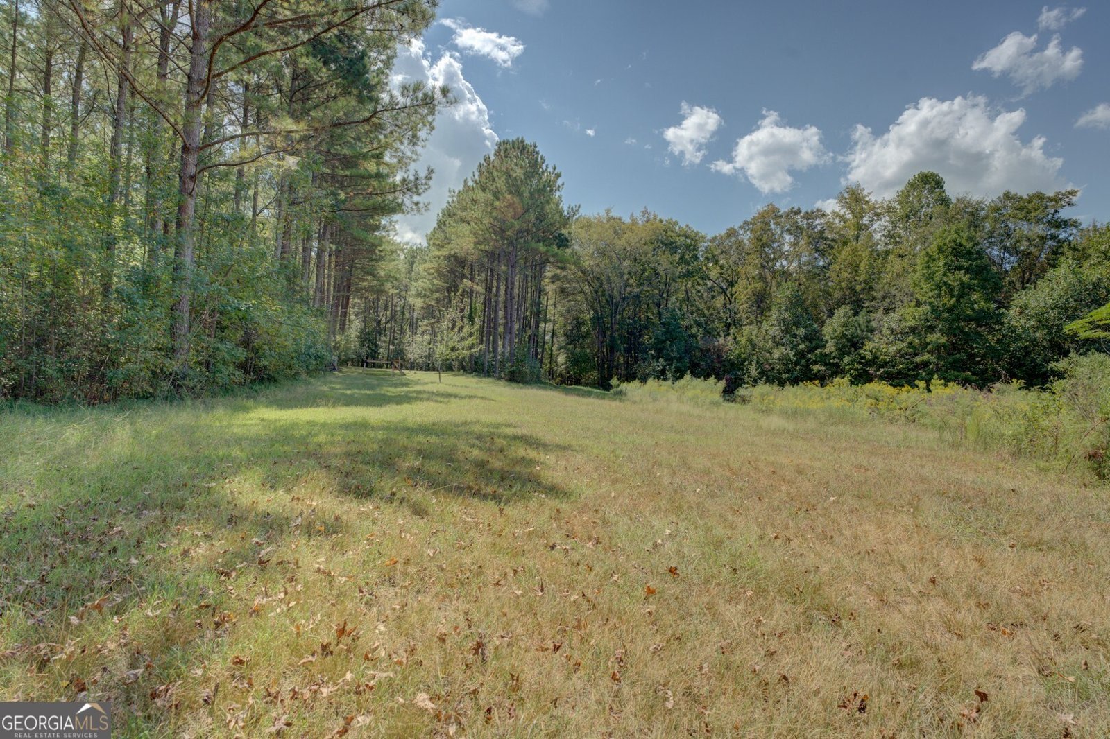 1200 McNair Lane Madison - 30