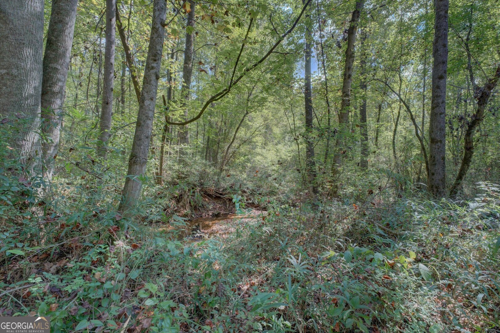 1200 McNair Lane Madison - 33