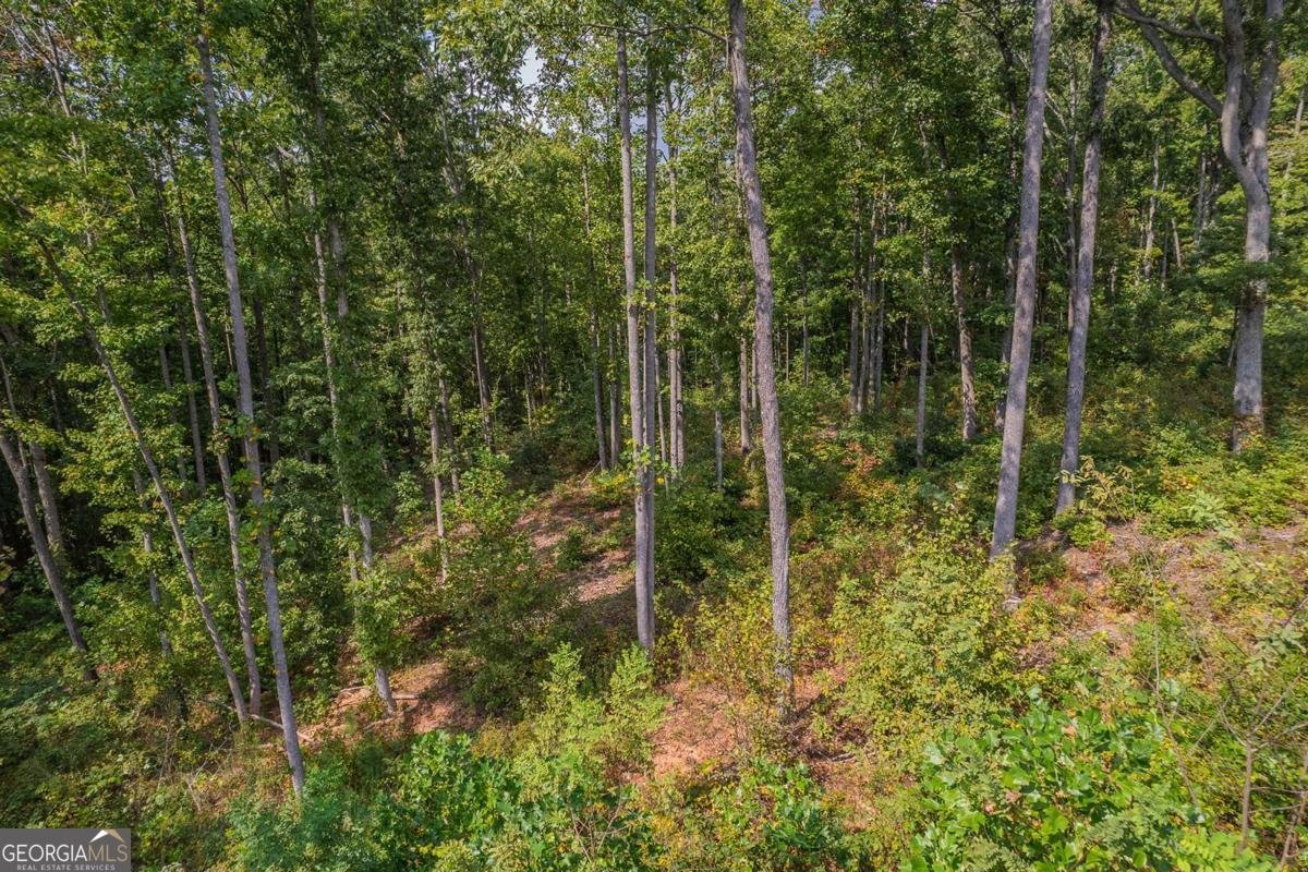 LT 275 Highgrove Drive Talking Rock - 15