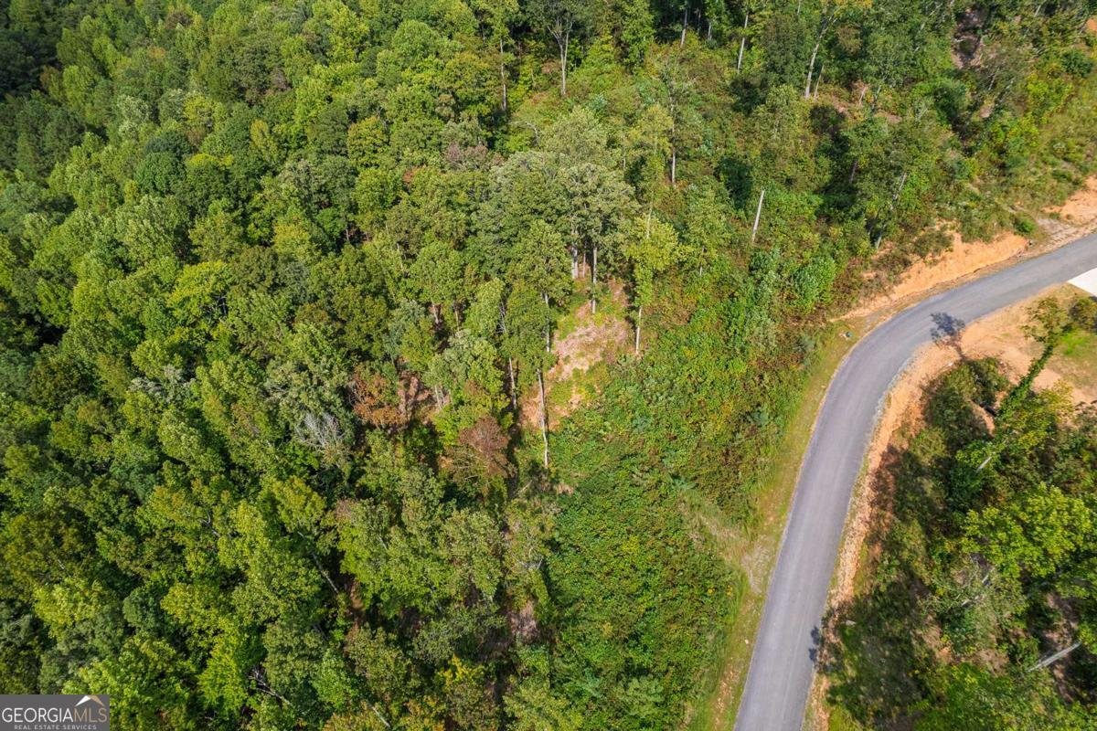 LT 275 Highgrove Drive Talking Rock - 16