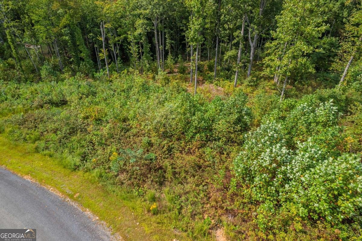 LT 275 Highgrove Drive Talking Rock - 17