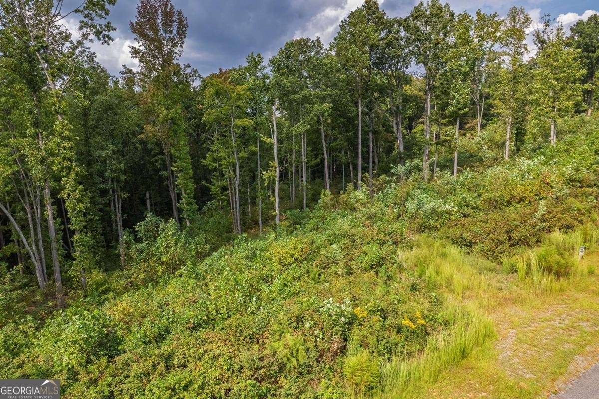 LT 275 Highgrove Drive Talking Rock - 18