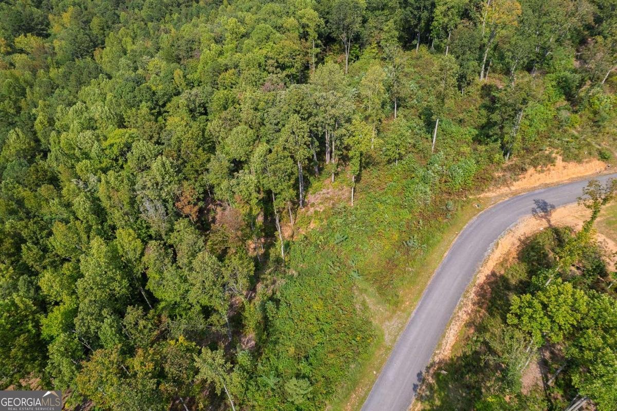 LT 275 Highgrove Drive Talking Rock - 2