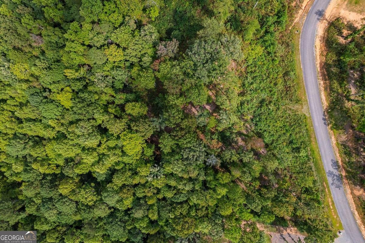 LT 275 Highgrove Drive Talking Rock - 4