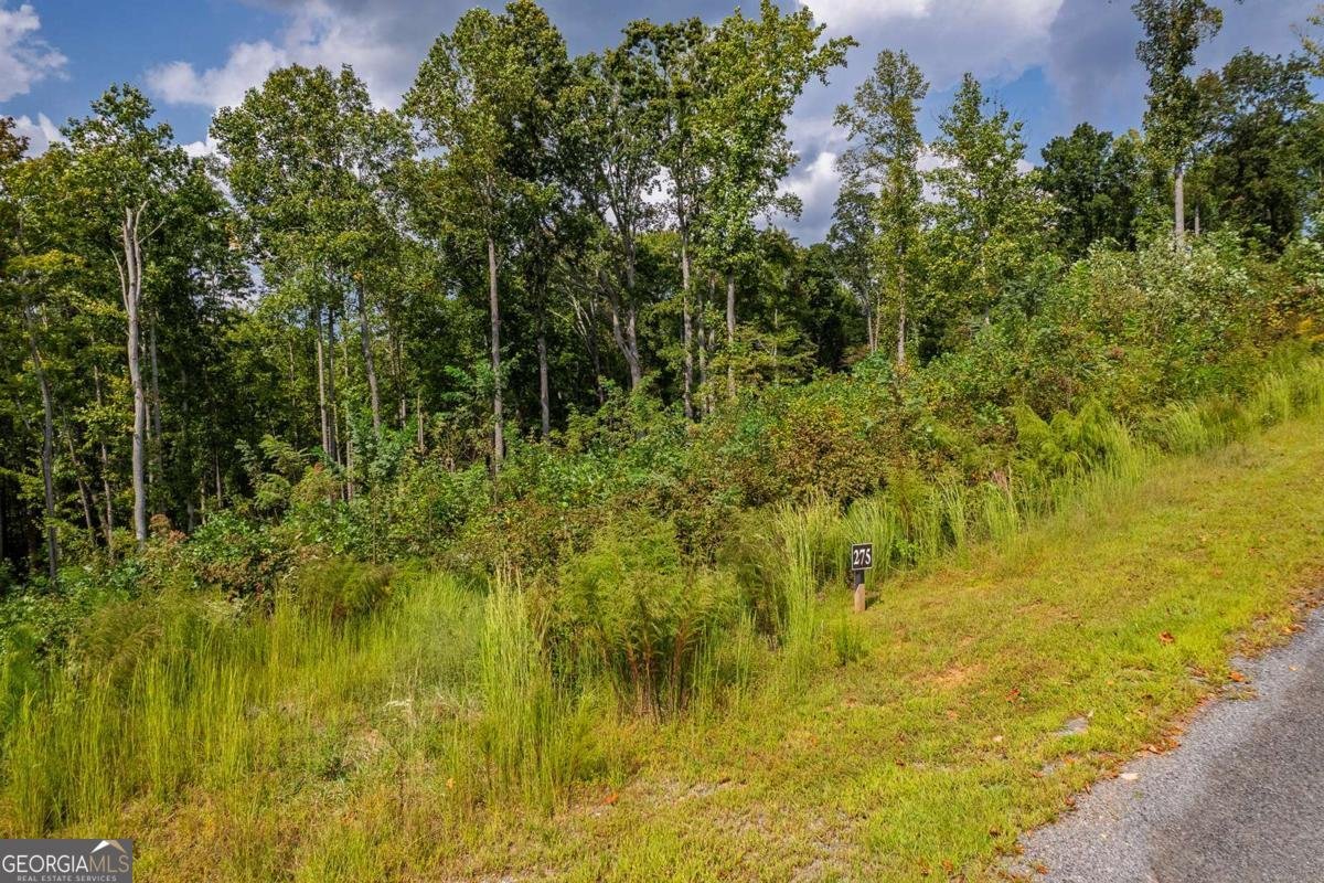 LT 275 Highgrove Drive Talking Rock - 5