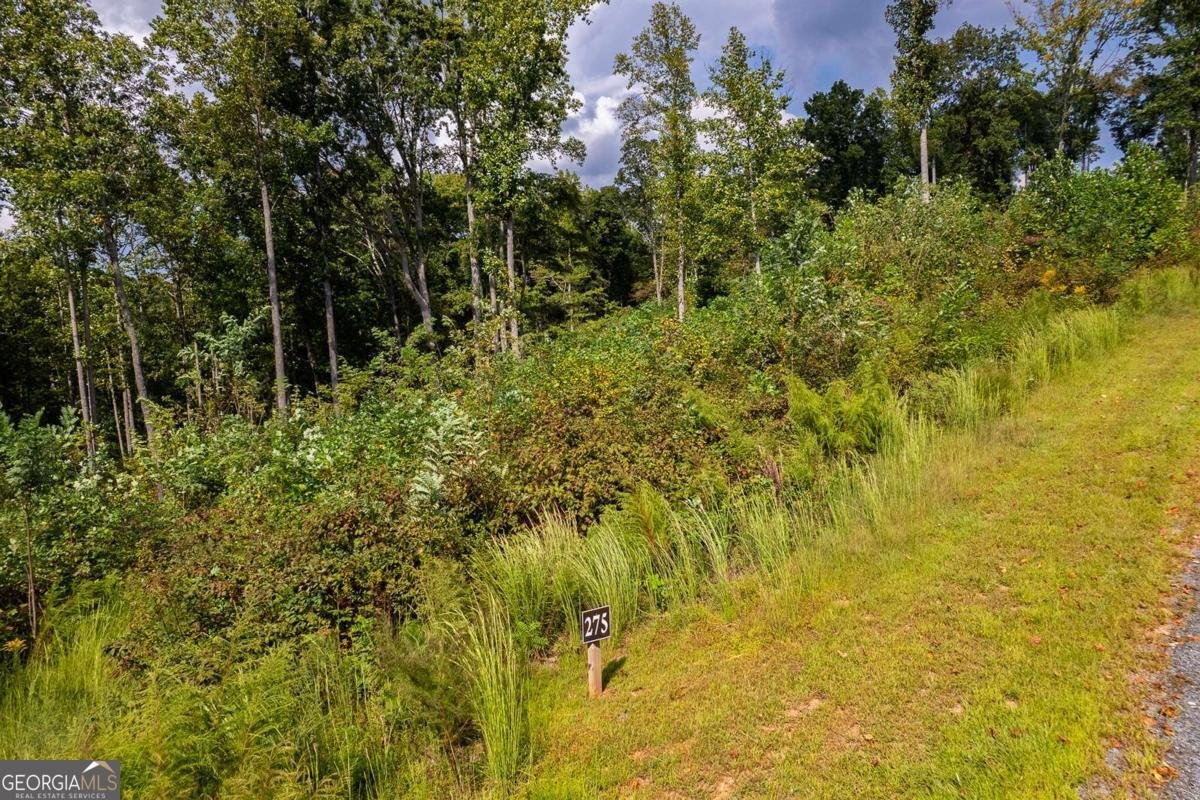 LT 275 Highgrove Drive Talking Rock - 9