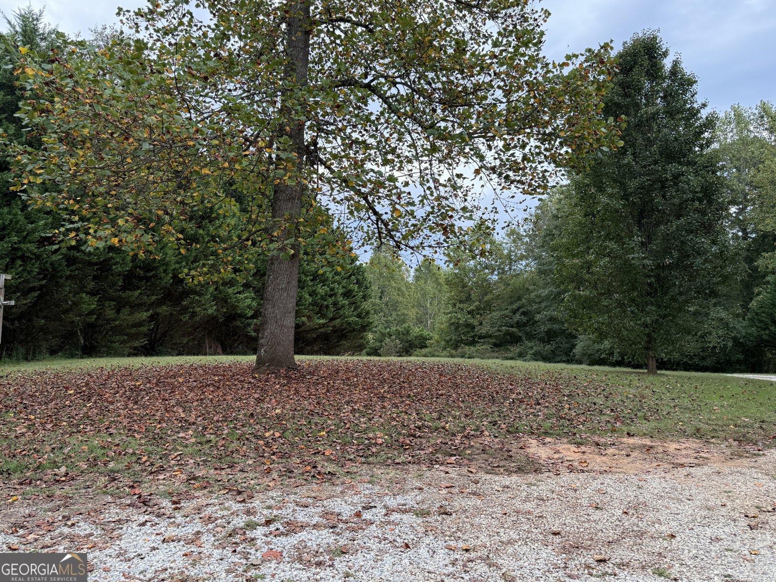 111 Dewberry Lane Mount Airy - 24
