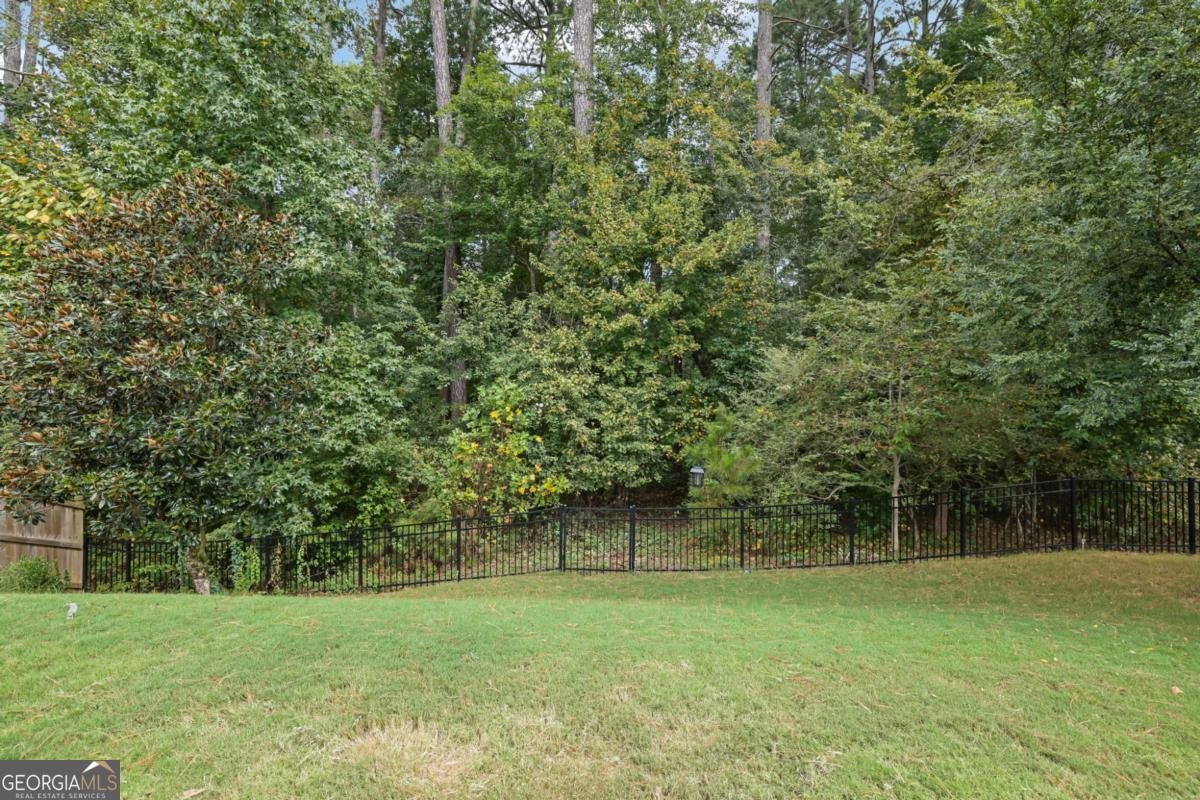 153 Neese Farm Drive Woodstock - 19