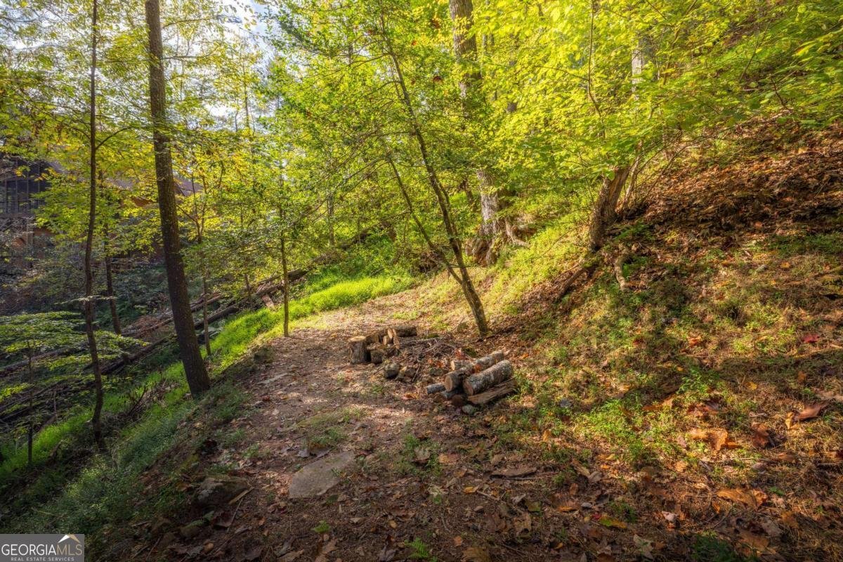 283 River Bend Lane Blue Ridge - 17