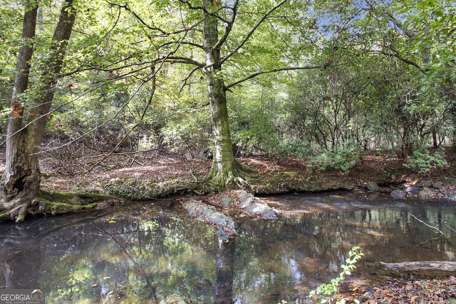 262 Jackson Shoals Road Franklin - 39