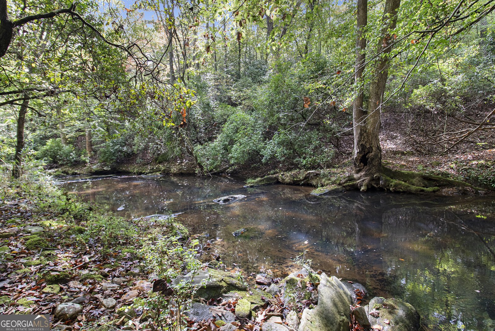 262 Jackson Shoals Road Franklin - 40