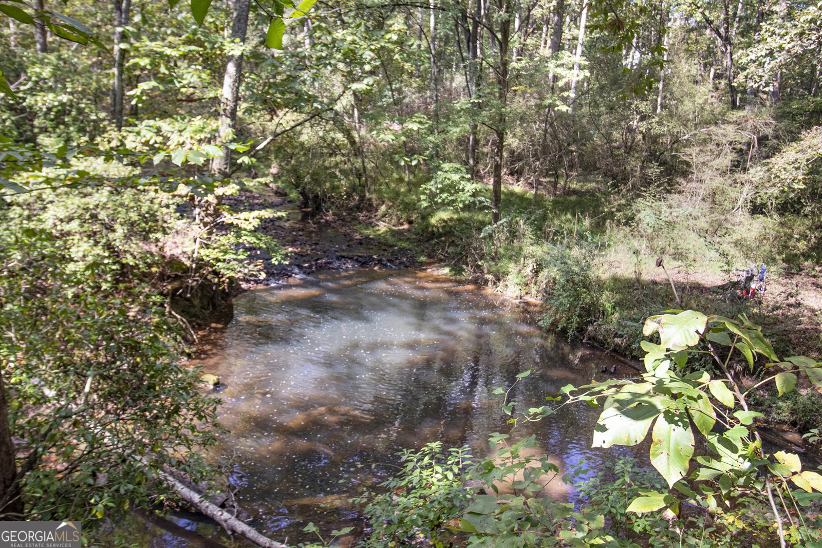 262 Jackson Shoals Road Franklin - 41