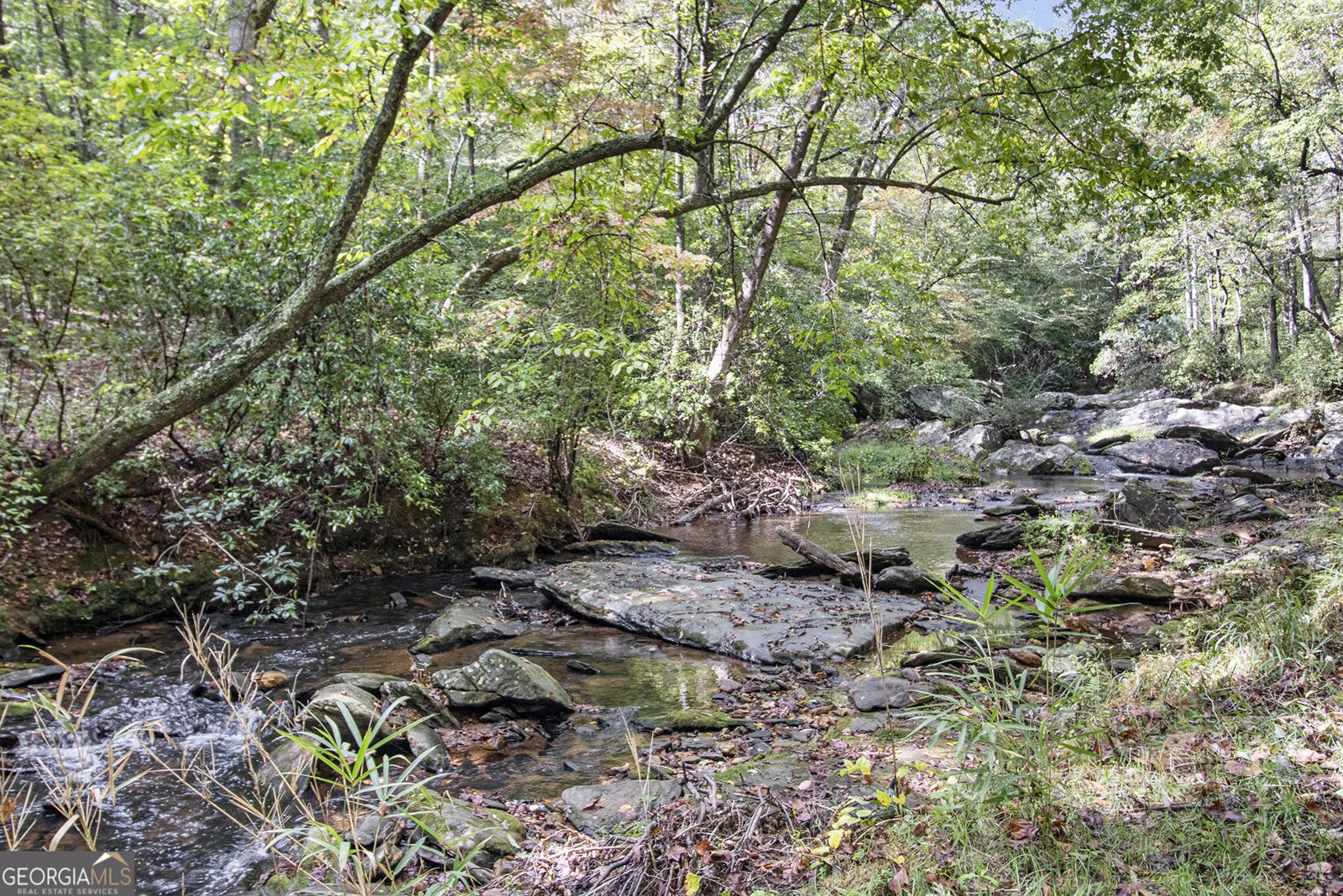 262 Jackson Shoals Road Franklin - 42