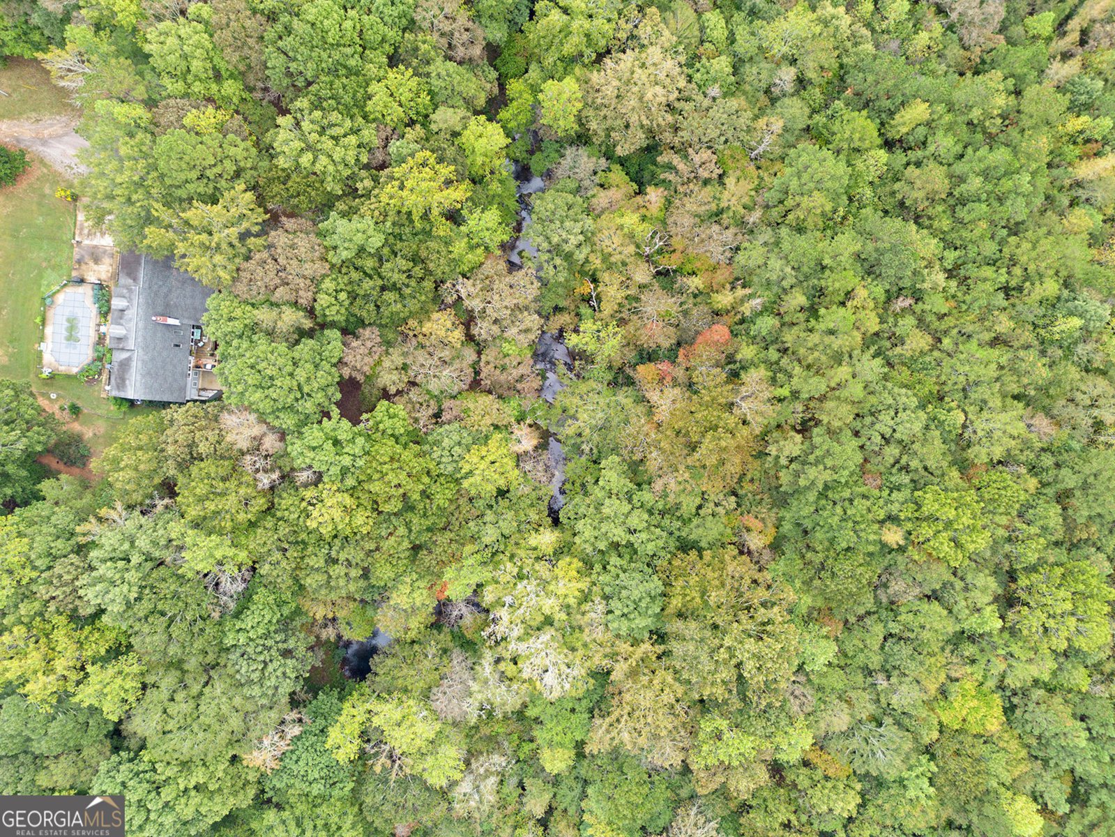 262 Jackson Shoals Road Franklin - 47