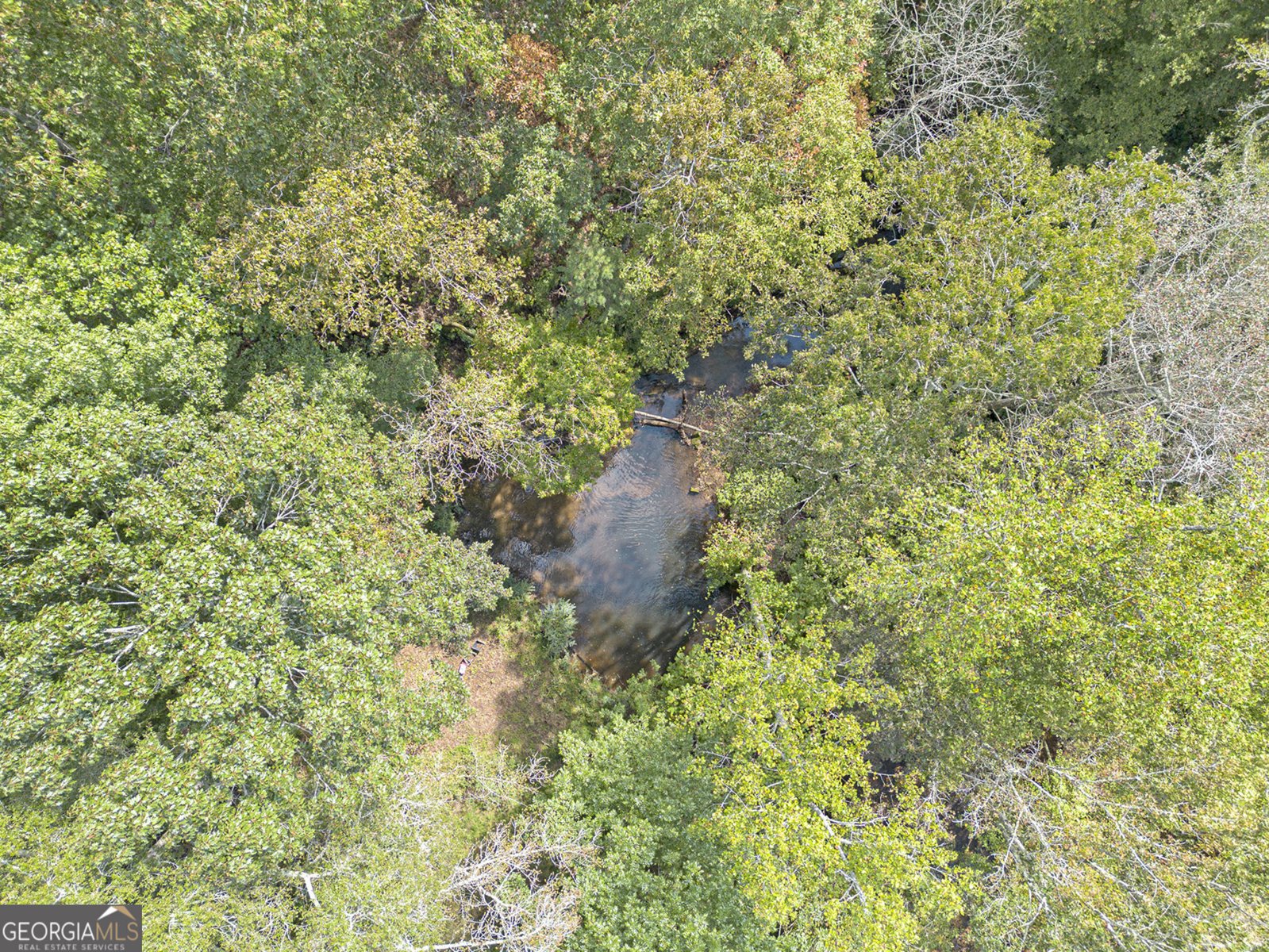 262 Jackson Shoals Road Franklin - 49