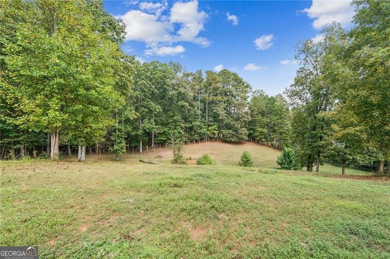 3066 Sweetwater Juno Road Dawsonville - 46