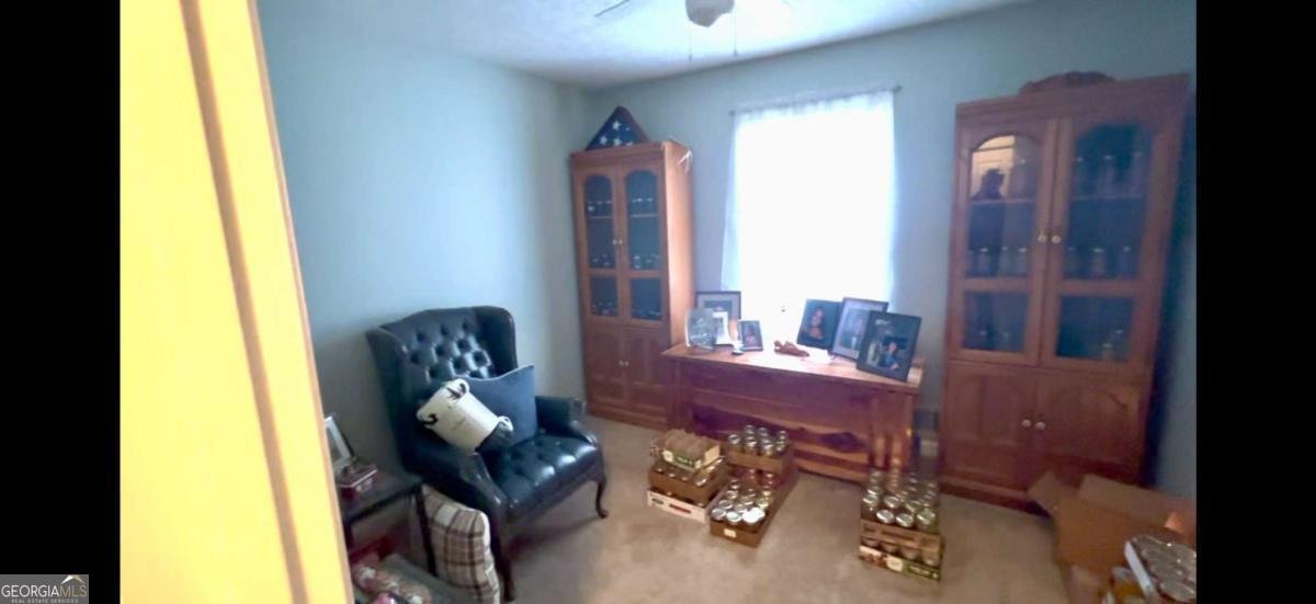 10561 Cherokee Drive Canton - 6