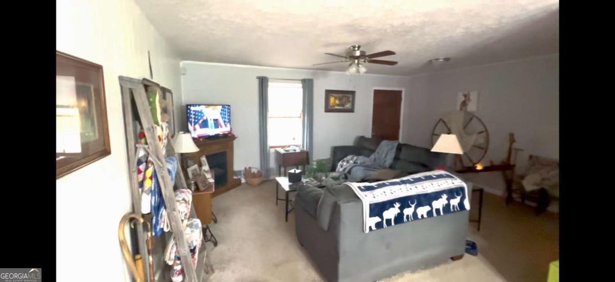 10561 Cherokee Drive Canton - 8