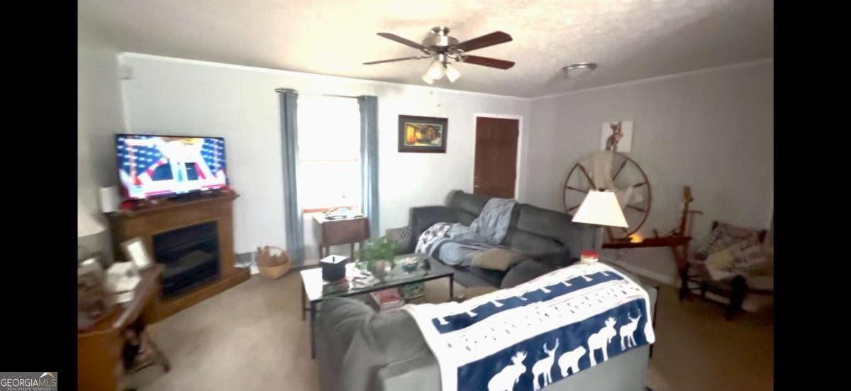 10561 Cherokee Drive Canton - 9