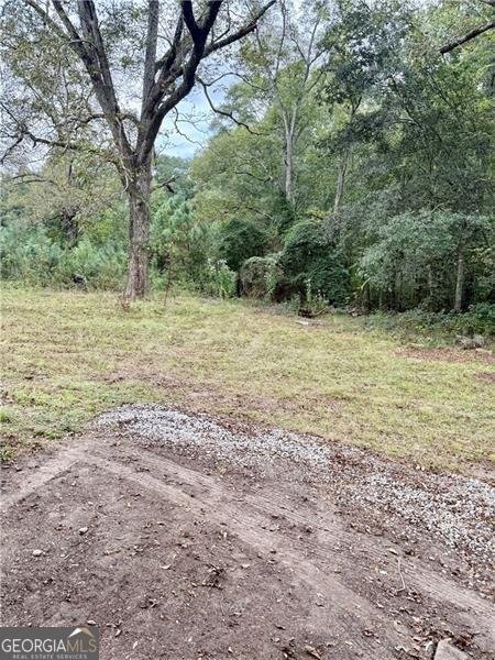 1239 Humphries Road Conyers - 3