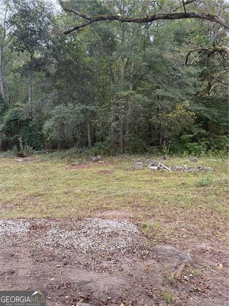 1239 Humphries Road Conyers - 5