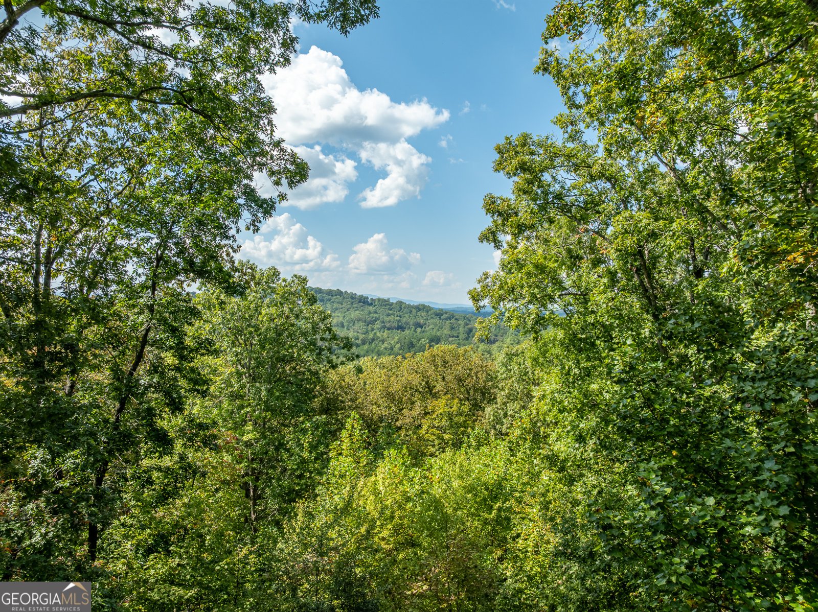 329 Carlie Trail Blue Ridge - 10