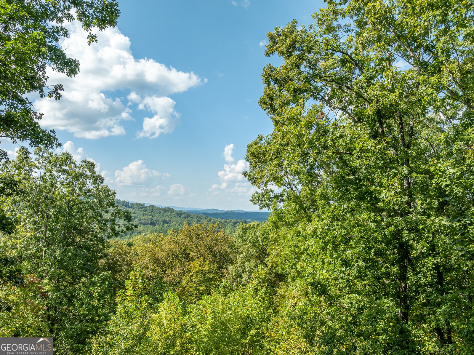 329 Carlie Trail Blue Ridge - 12