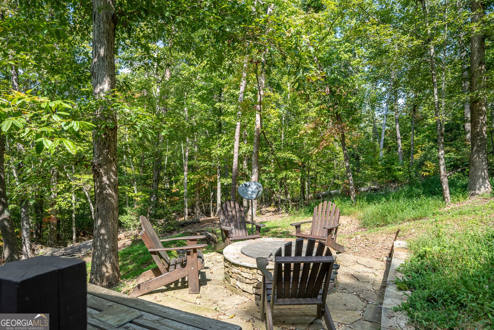 329 Carlie Trail Blue Ridge - 14