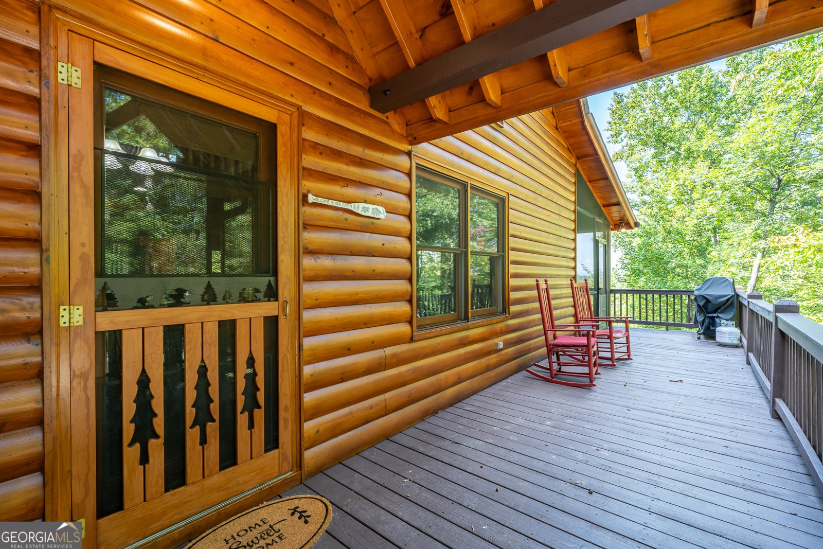 329 Carlie Trail Blue Ridge - 19