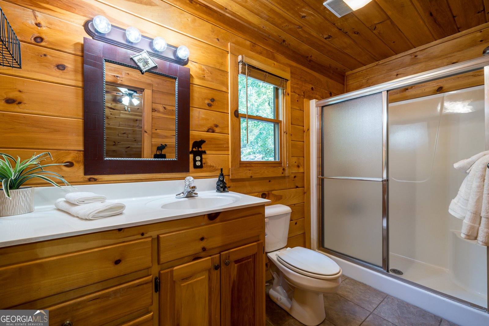 329 Carlie Trail Blue Ridge - 34