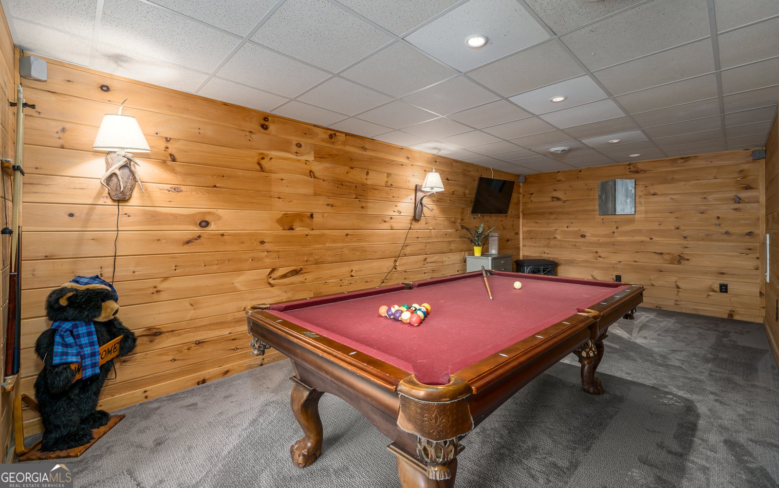 329 Carlie Trail Blue Ridge - 35