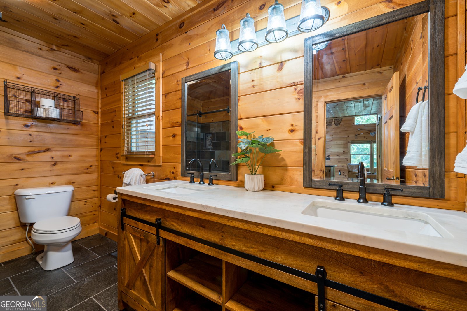 329 Carlie Trail Blue Ridge - 4