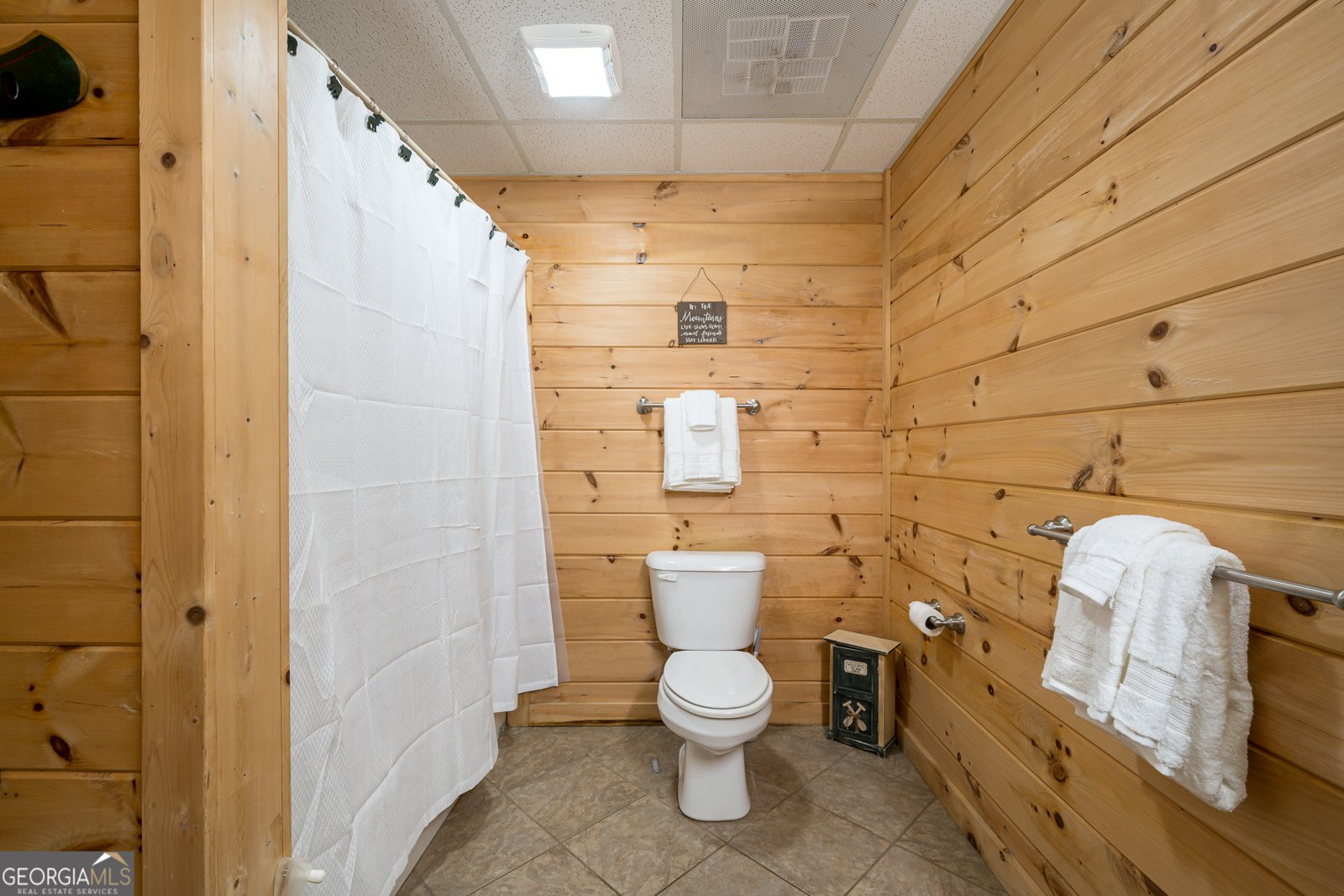 329 Carlie Trail Blue Ridge - 42