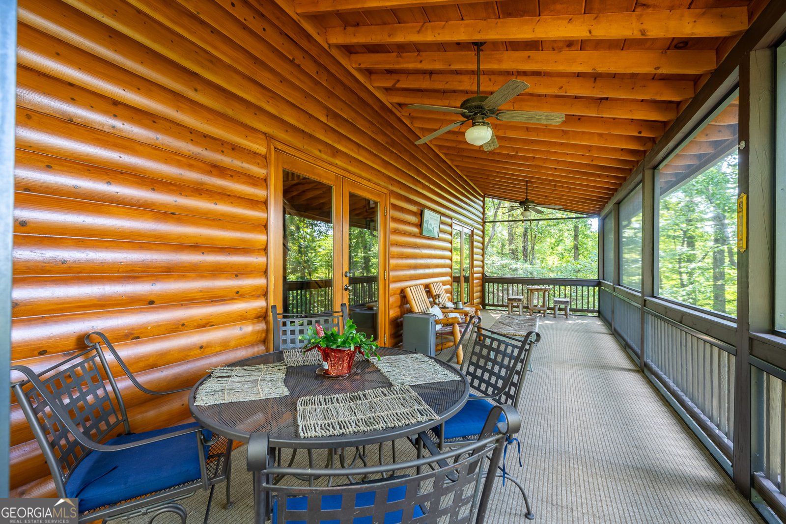 329 Carlie Trail Blue Ridge - 43