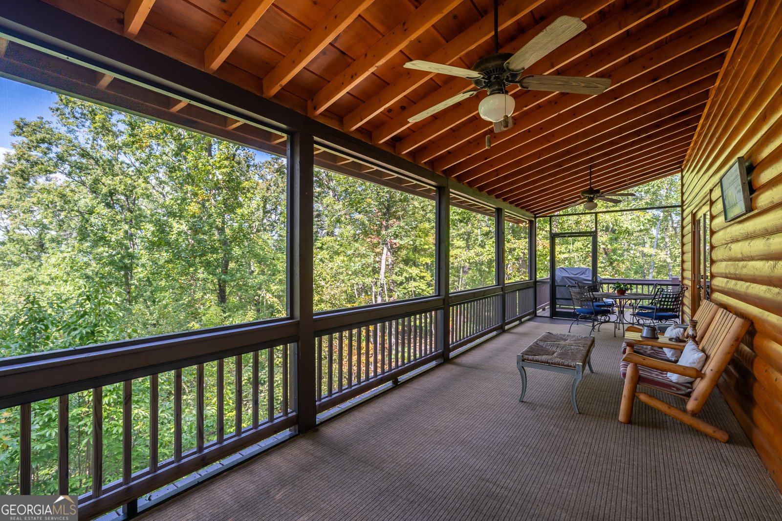 329 Carlie Trail Blue Ridge - 44