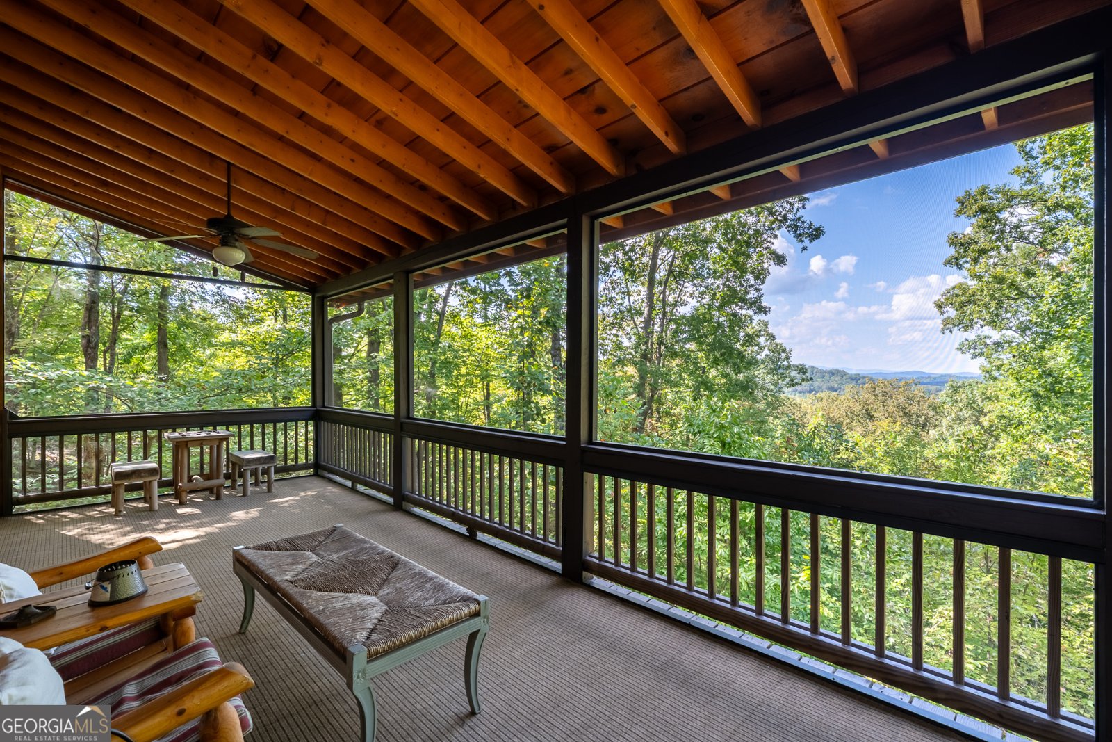 329 Carlie Trail Blue Ridge - 45