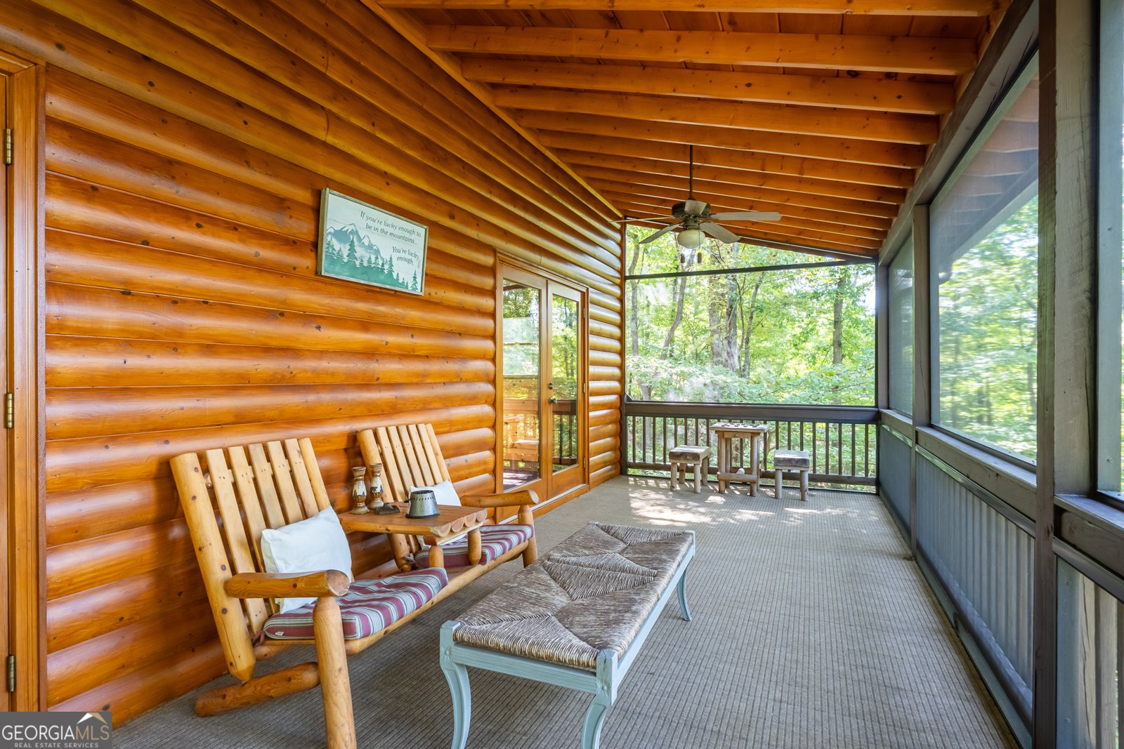 329 Carlie Trail Blue Ridge - 46