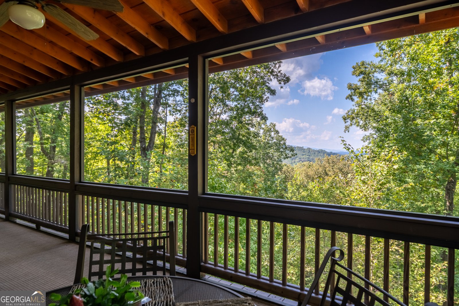 329 Carlie Trail Blue Ridge - 47