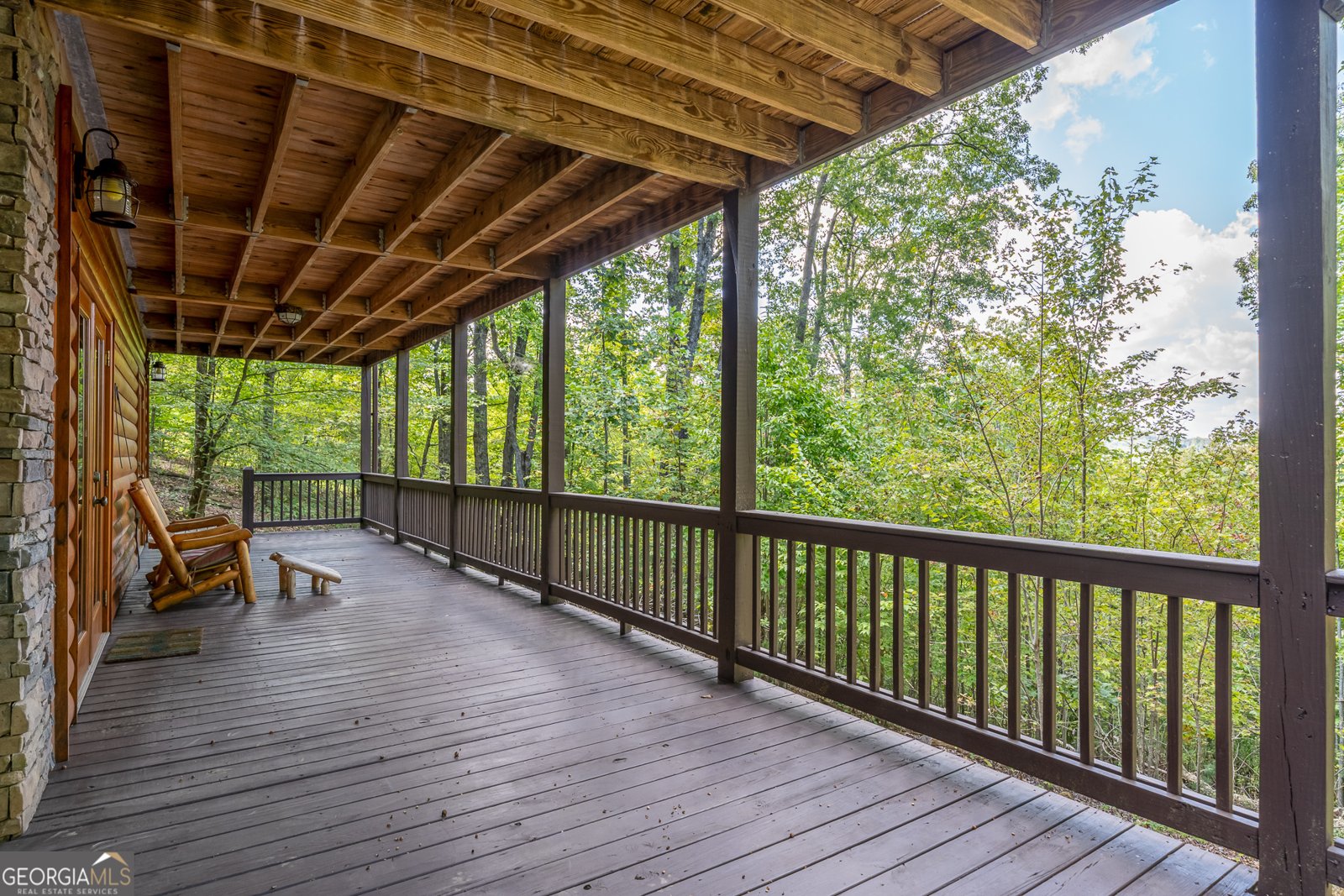 329 Carlie Trail Blue Ridge - 48