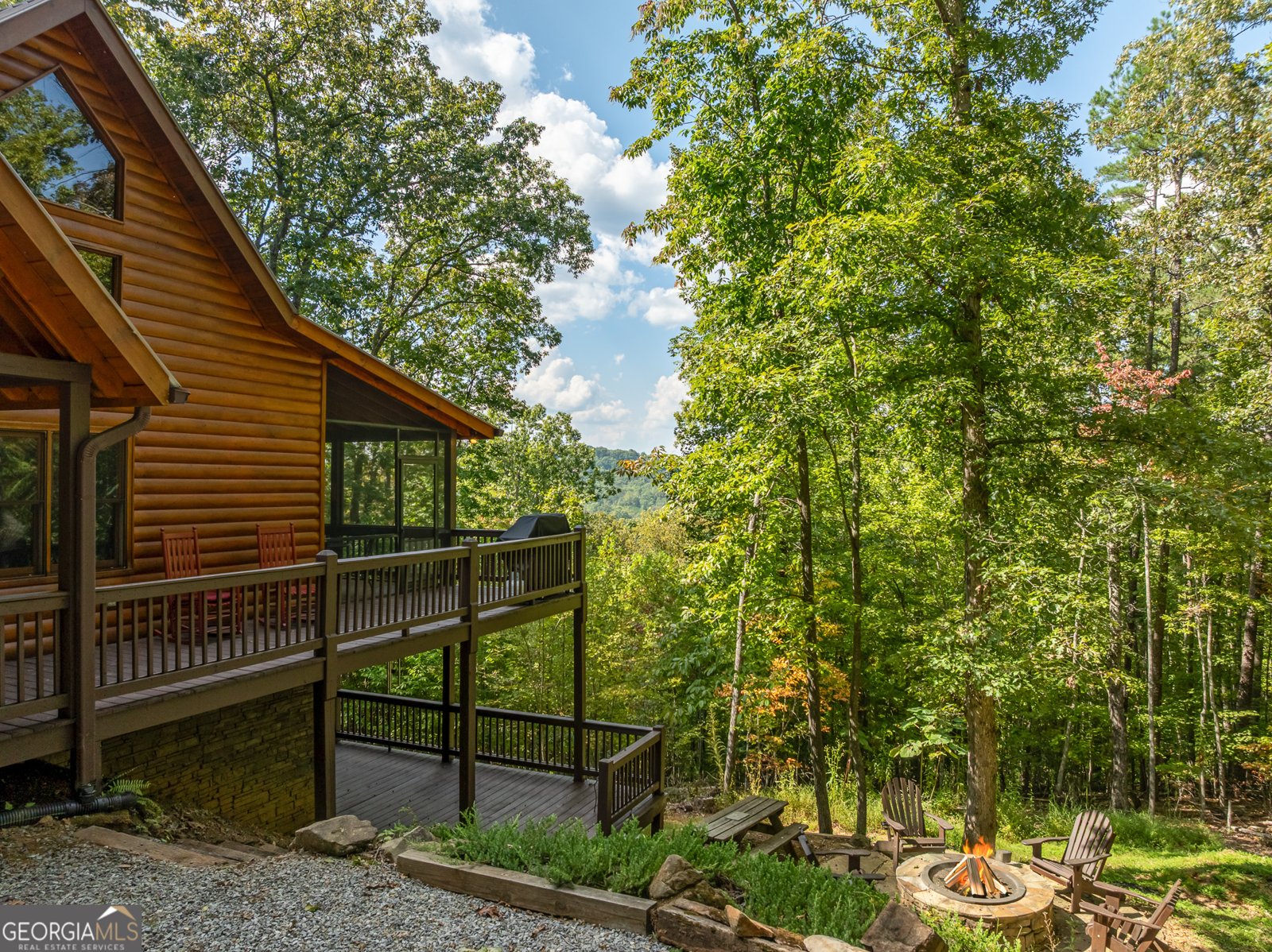 329 Carlie Trail Blue Ridge - 9