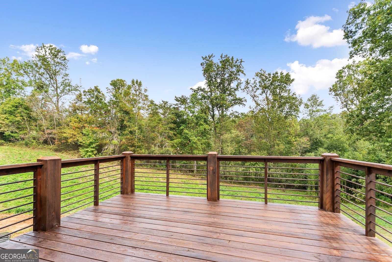 166 Elliott Family Parkway Dawsonville - 33