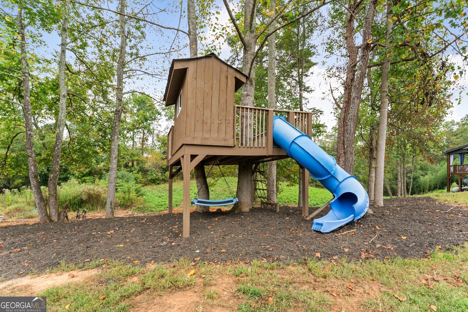 166 Elliott Family Parkway Dawsonville - 60